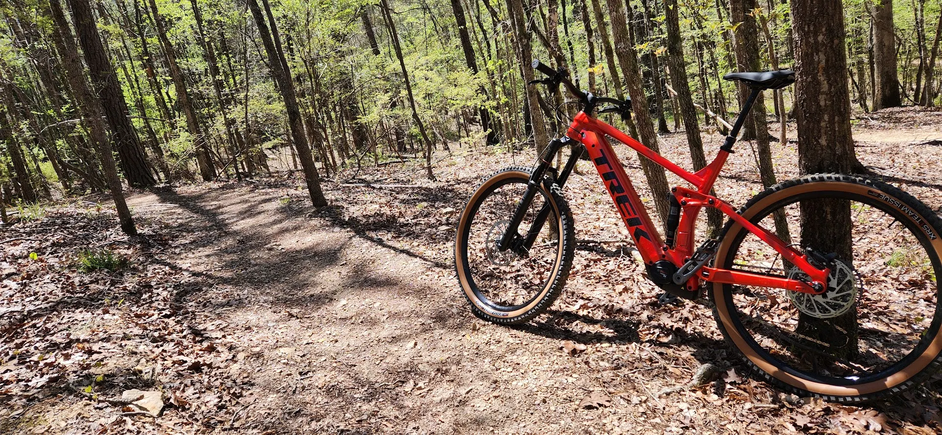Lucas's red Trek mountain bike leaning against a tree on a sunlit Southeast singletrack trail